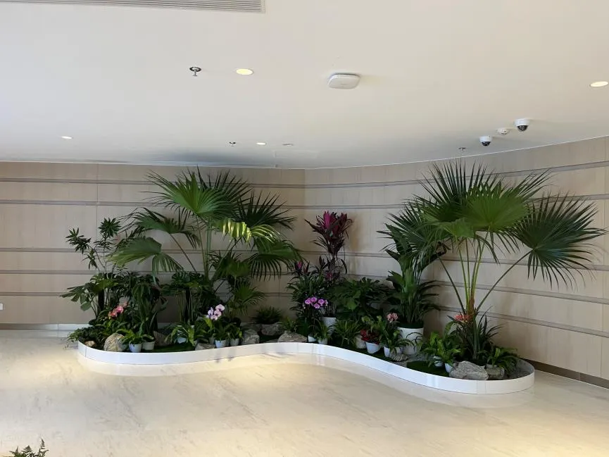 惊艳！宁波江北植物租摆的魅力你知道吗